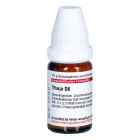 thuja homeo medicine Thuja Occidentalis Mother Tincture – Ghai Homoeo Remedies main image 1