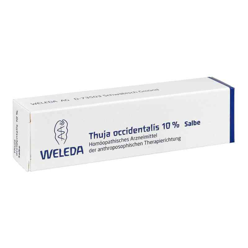 Thuja Occidentalis 10% Salbe 25 g online kaufen