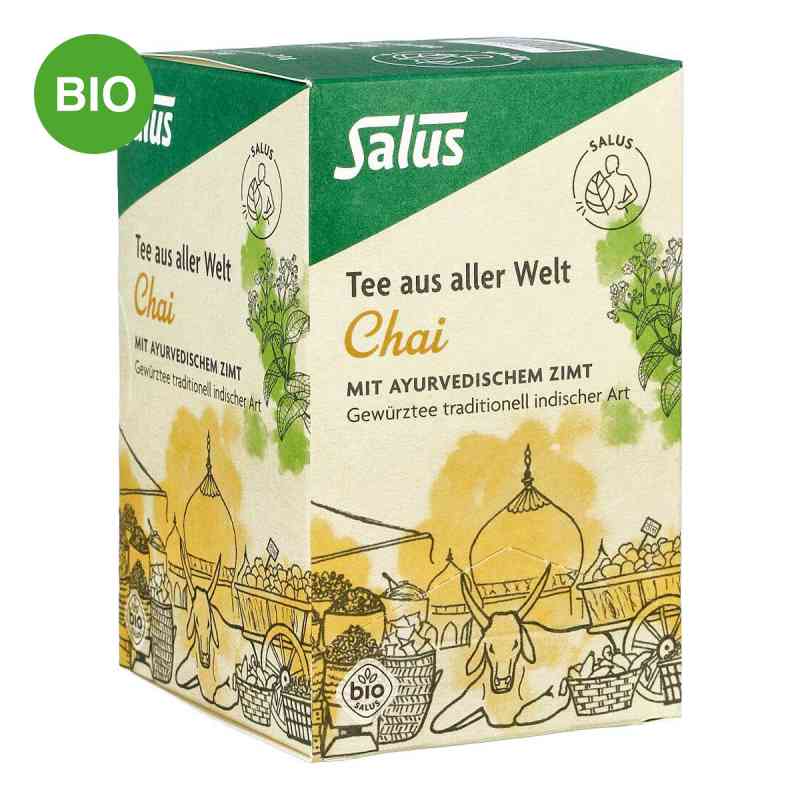 Chai Tee Bio Salus Filterbeutel 15 stk von SALUS Pharma GmbH PZN 02034411