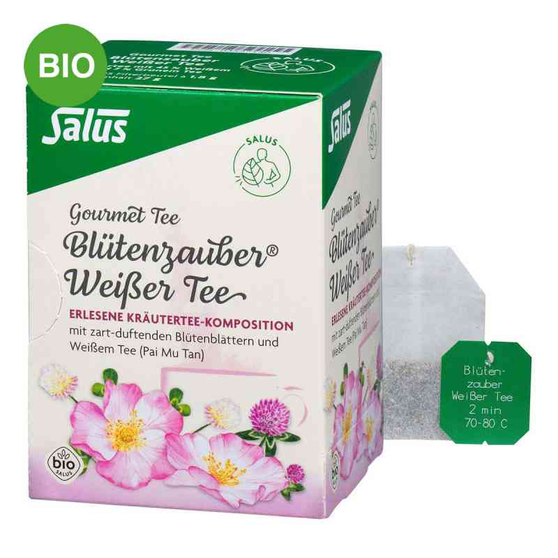Weisser Tee Blütenzauber Bio Salus Filterbeutel 15 stk von SALUS Pharma GmbH PZN 03437140