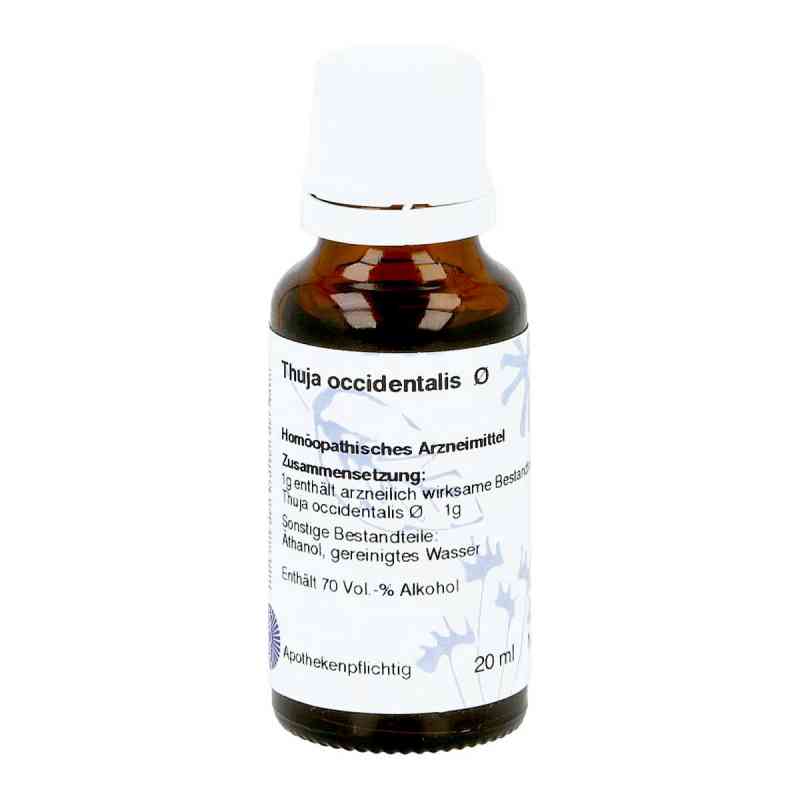 Thuja Urtinktur Hanosan 20 ml online kaufen