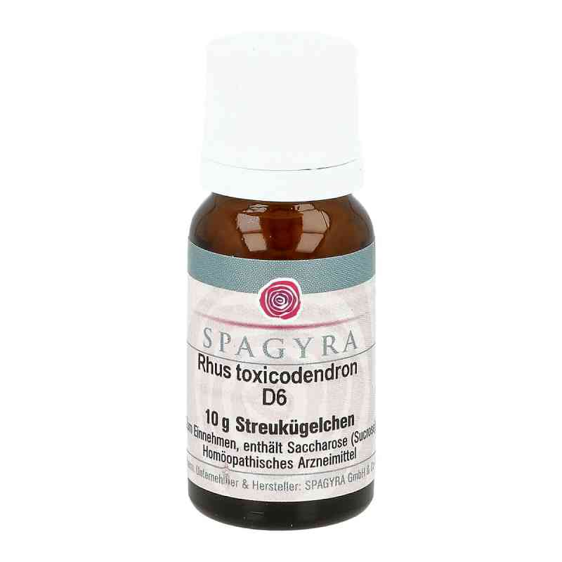 Rhus Toxicodendron D6 Globuli 10 g online kaufen