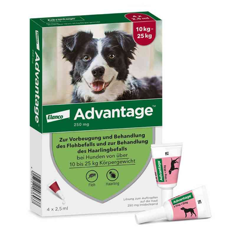 Advantage Spot-On für Hunde von 10 bis 25 kg Körpergewicht 4 stk von Elanco Deutschland GmbH PZN 08613328