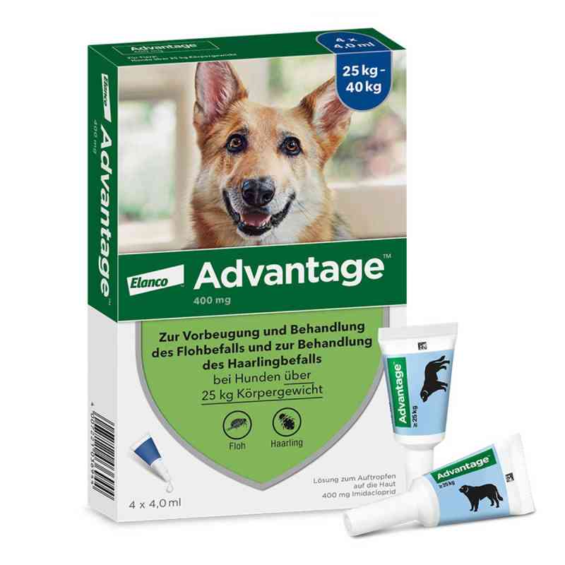 Advantage Spot-On für Hunde von 25 bis 40 kg Körpergewicht 1X4 stk von Elanco Deutschland GmbH PZN 00334178