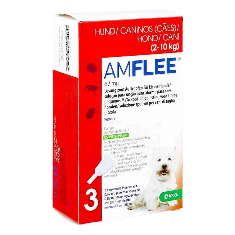 Amflee 67 mg Lösung zum Auftropfen für kleine Hunde 3 stk von TAD Pharma GmbH PZN 11099792