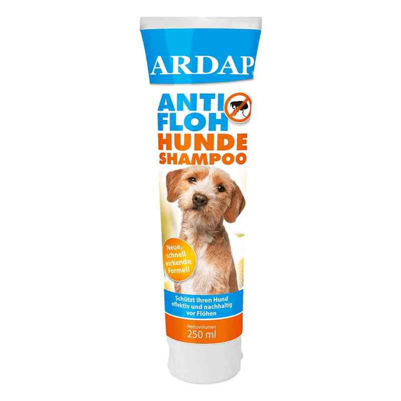 ARDAP Anti Floh Shampoo für Hunde 250 ml von ARDAP CARE GmbH PZN 11002203