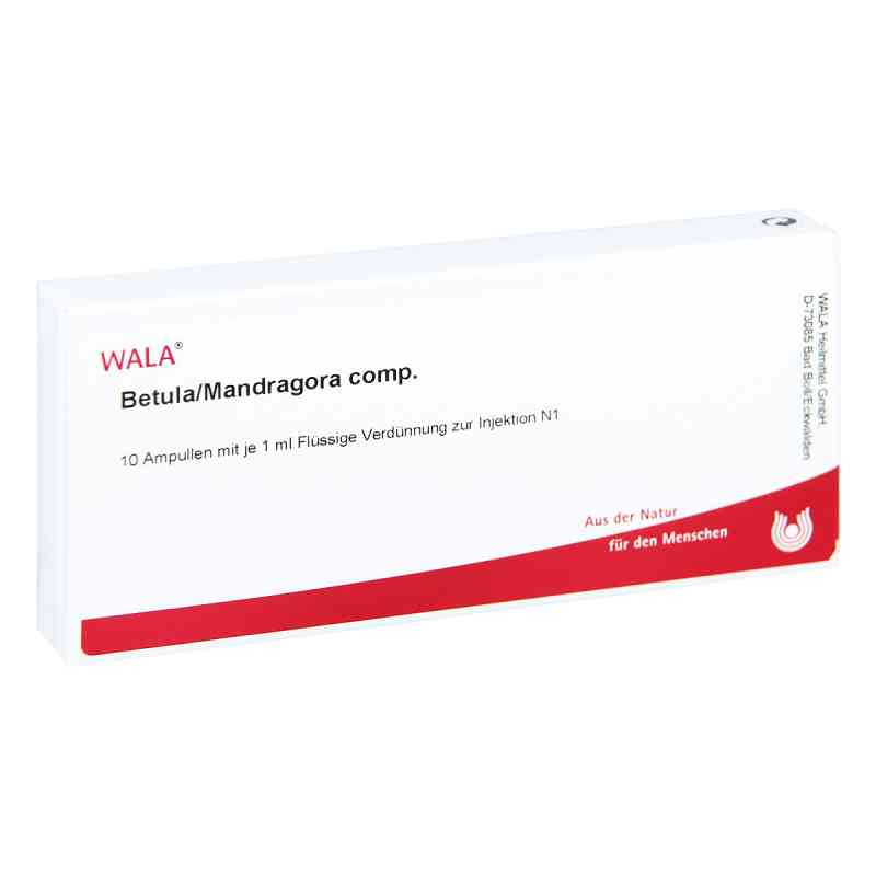 Betula/mandragora Comp. Ampullen 10X1 ml von WALA Heilmittel GmbH PZN 01751004