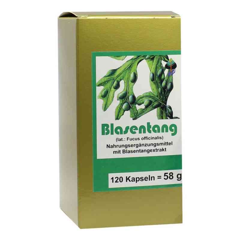 Blasentang Kapseln 120 stk von FBK-Pharma GmbH PZN 00004877