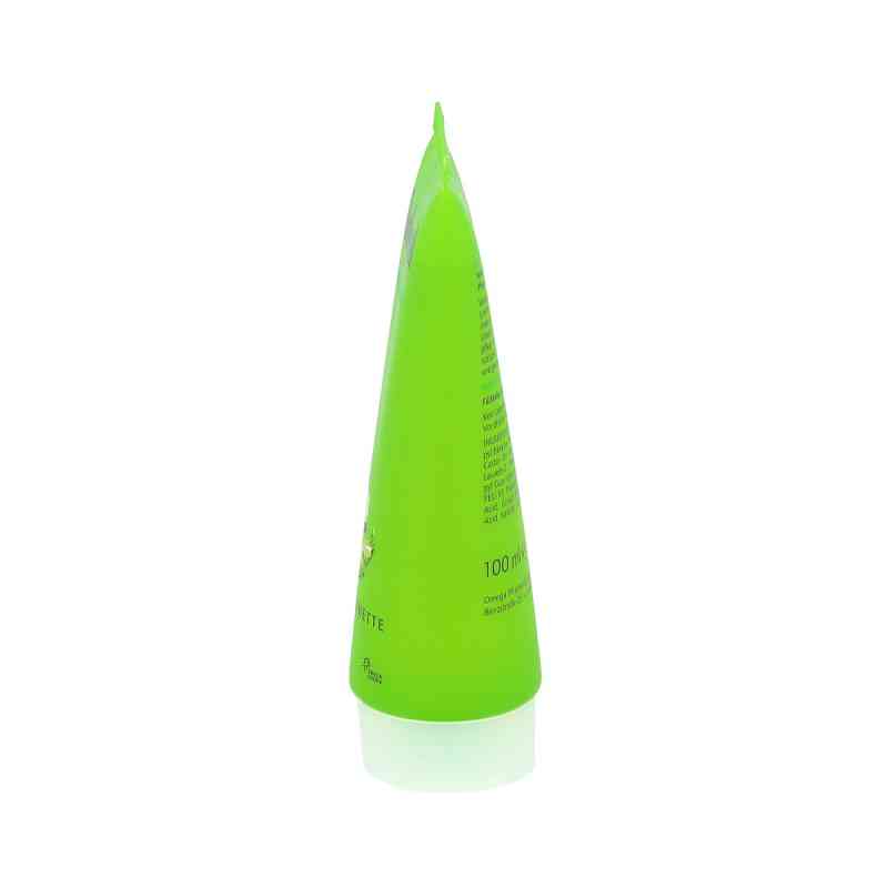 BODYSOL Aroma Duschgel Ginkgo Limette – 100 Ml, Erfrischend & Pflegend