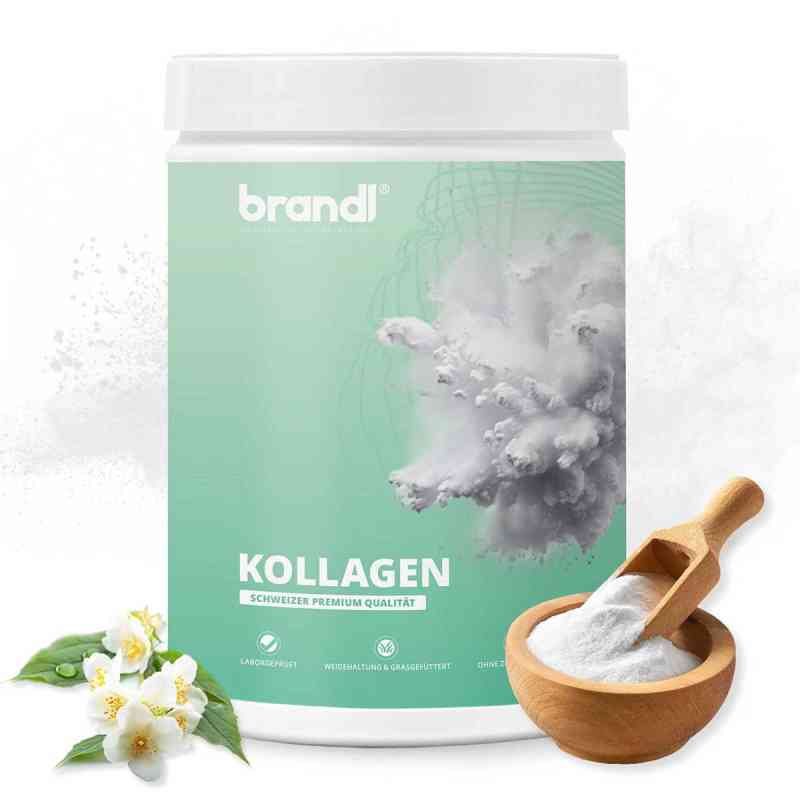 Brandl Kollagen Pulver 550 g von Brandl Nutrition GmbH PZN 19622945