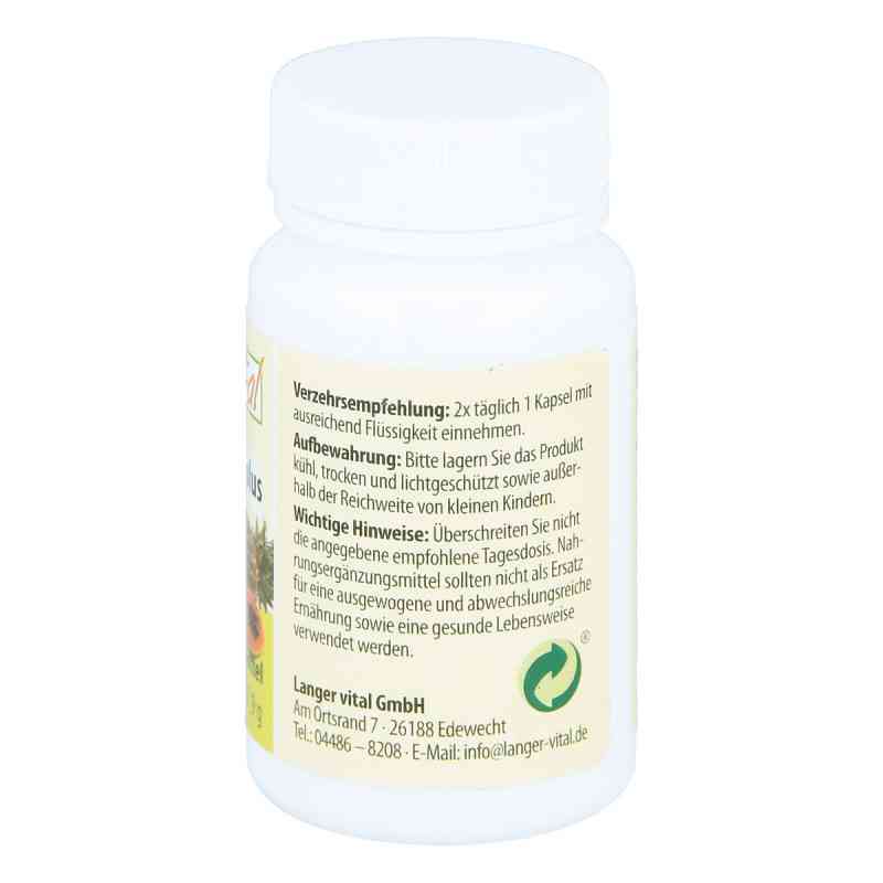 Bromelain 160 mg+ Papain 160 mg Tg. Kapseln 60 stk