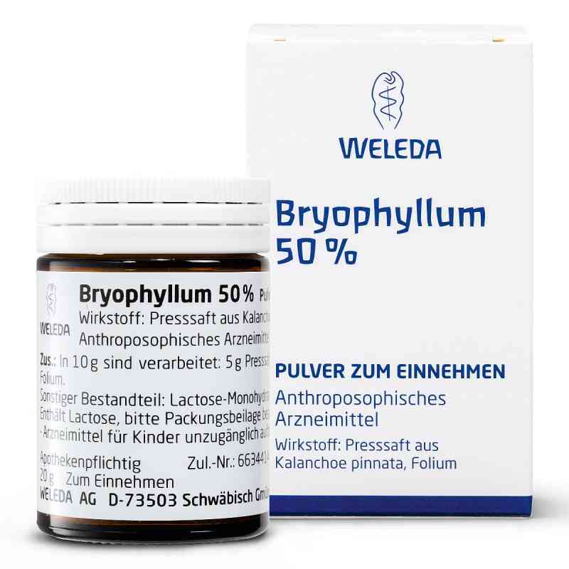 Bryophyllum 50% Pulver zum Einnehmen 50 g von WELEDA AG PZN 01631441