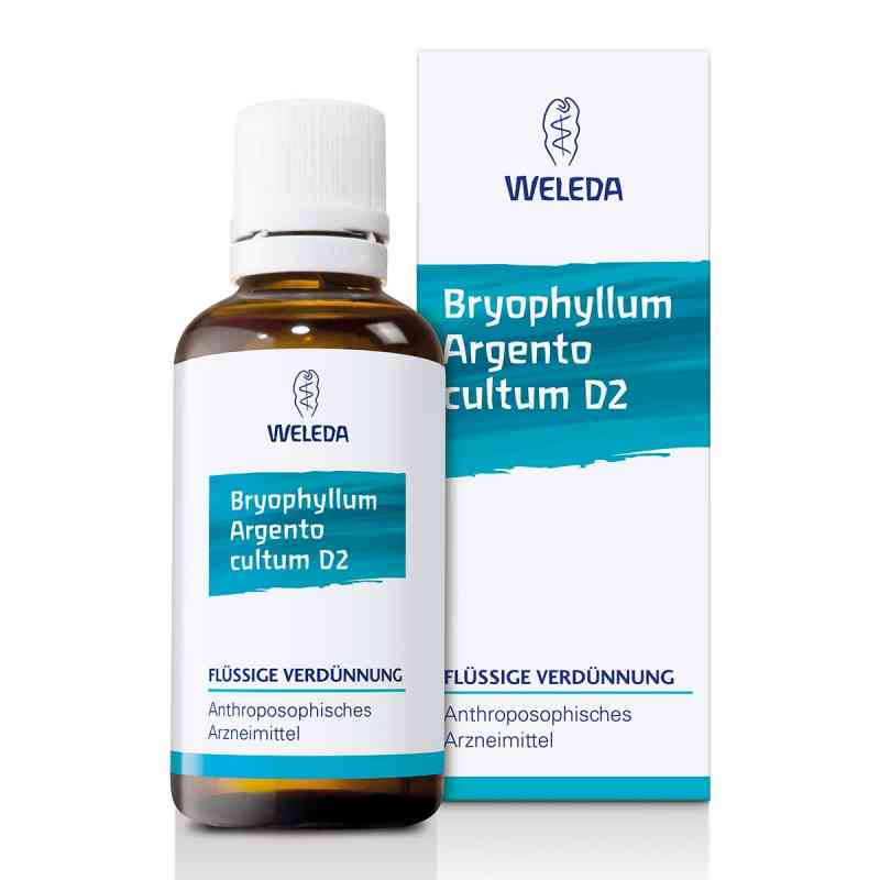 Bryophyllum Argento Cultum Dilution D2 50 ml von WELEDA AG PZN 01571911
