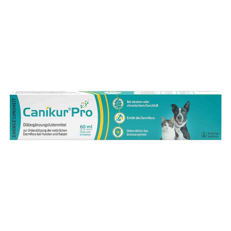 Canikur Pro Paste Hund & Katze zur Unterstützung der Darmflora 60 ml von Boehringer Ingelheim VETMEDICA GmbH PZN 09772201