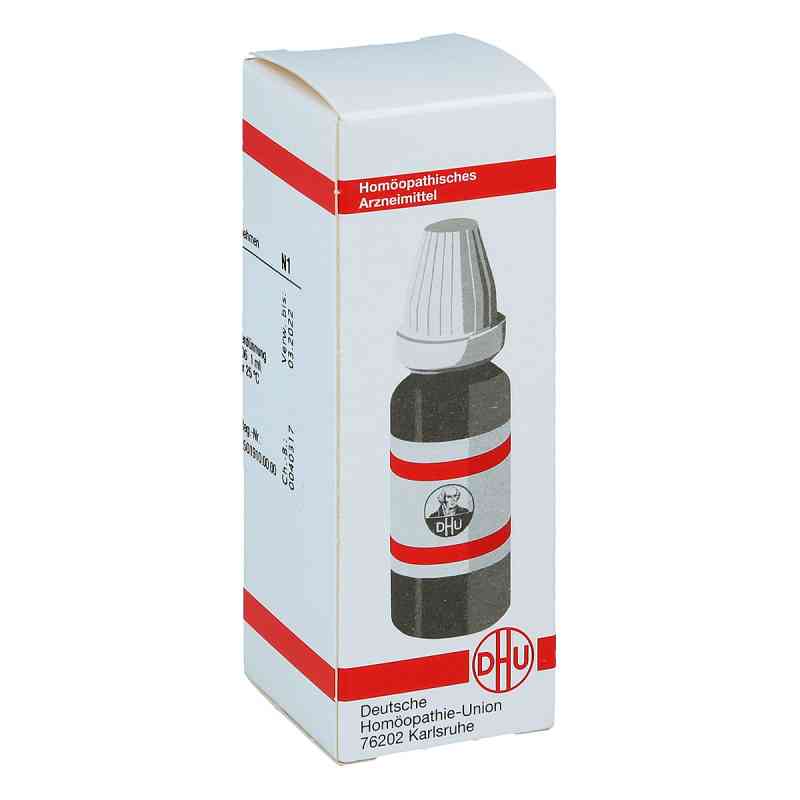Capsella Bursa Past. D6 Dilution 20 ml von DHU-Arzneimittel GmbH & Co. KG PZN 07163225
