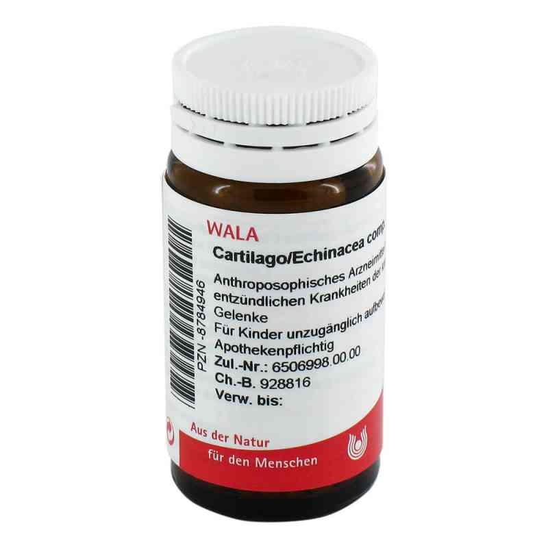 Cartilago/echinacea compositus Globuli 20 g von WALA Heilmittel GmbH PZN 08784946