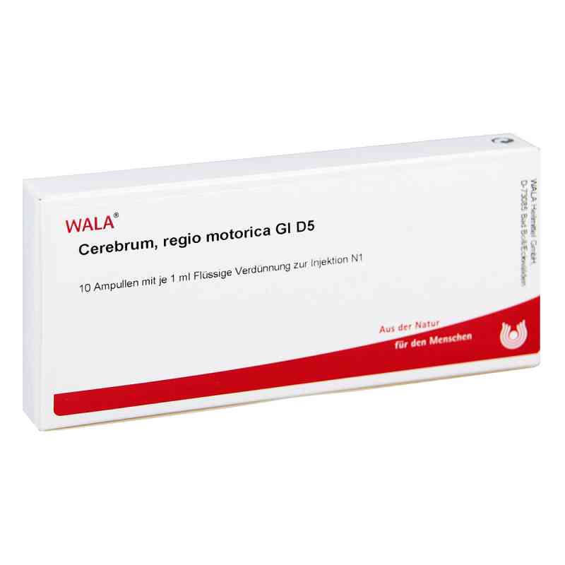 Cerebrum Regio Motor Gl D5 Ampullen 10X1 ml von WALA Heilmittel GmbH PZN 03359836