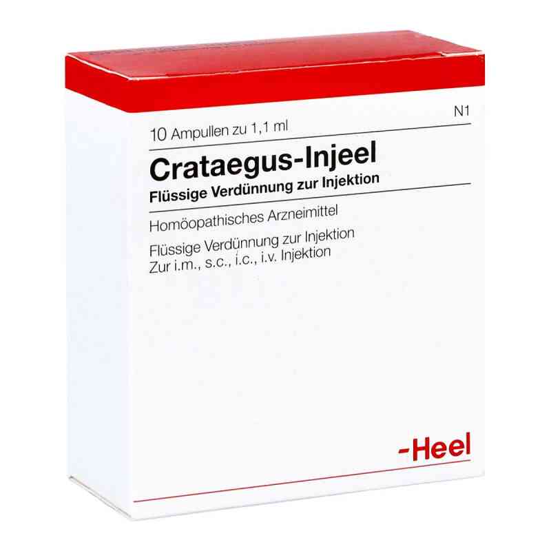 Crataegus Injeel Ampullen 10 stk von Biologische Heilmittel Heel GmbH PZN 00246741