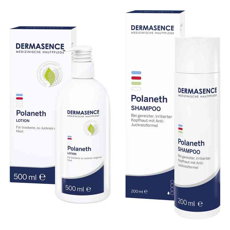 Dermasence Polaneth Lotion + Dermasence Polaneth Shampoo 1 Pck von Medicos Kosmetik GmbH & Co. KG PZN 08104533