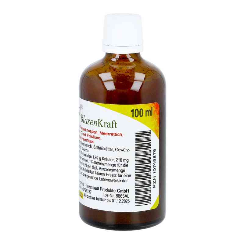 BitterKraft! Dignatio Blasenkraft Kräutertropfen – Mit Goldrute, Brennnessel & Birke (100 Ml) BitterKraft! Dignatio Blasenkraft Kräutertropfen – Mit Goldrute, Brennnessel & Birke (100 Ml)