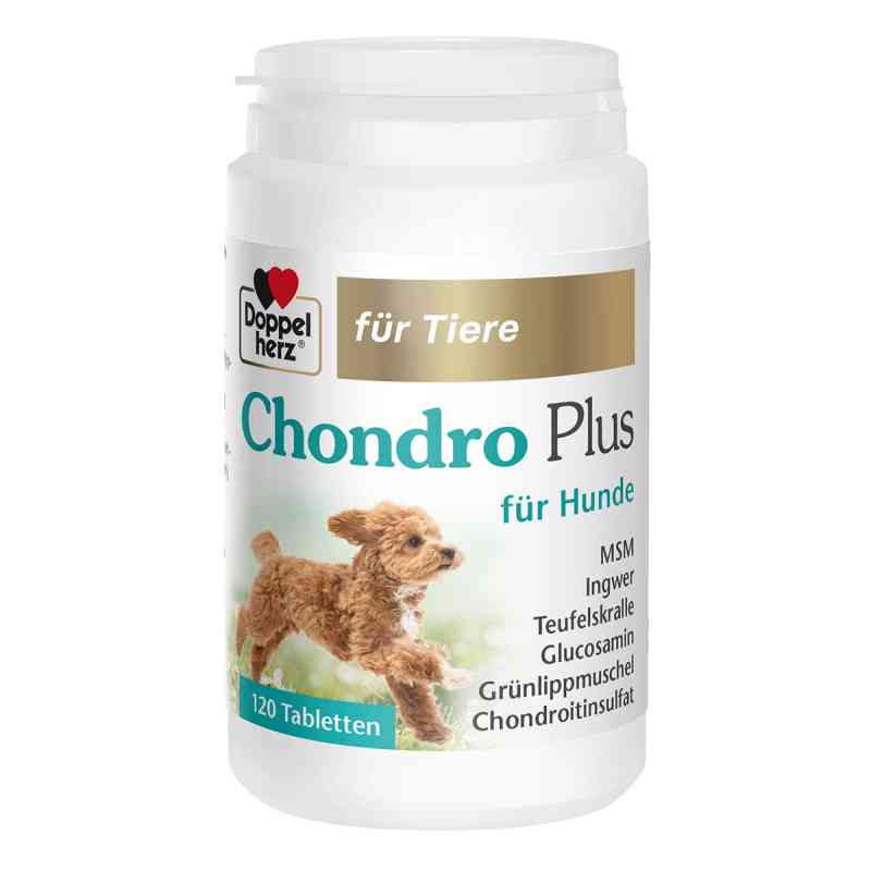 Doppelherz Für Tiere Chondro Plus Tabletten für hunde 120 stk von Queisser Pharma GmbH & Co. KG PZN 19495636