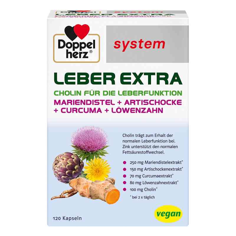 Doppelherz Leber Extra System Kapseln 120 stk von Queisser Pharma GmbH & Co. KG PZN 19267266