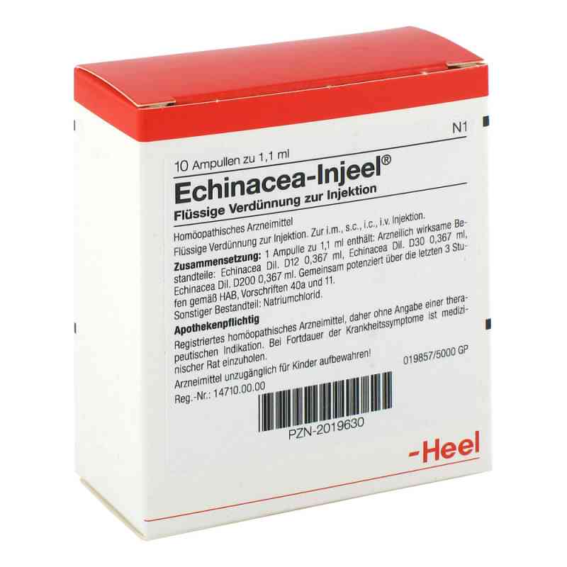 Echinacea Injeel Ampullen 10 stk von Biologische Heilmittel Heel GmbH PZN 02019630