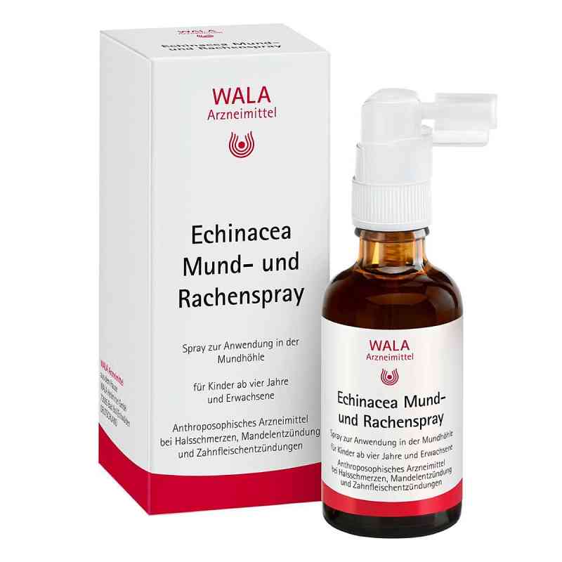 Echinacea Mund- und Rachenspray 50 ml von WALA Heilmittel GmbH PZN 13426663