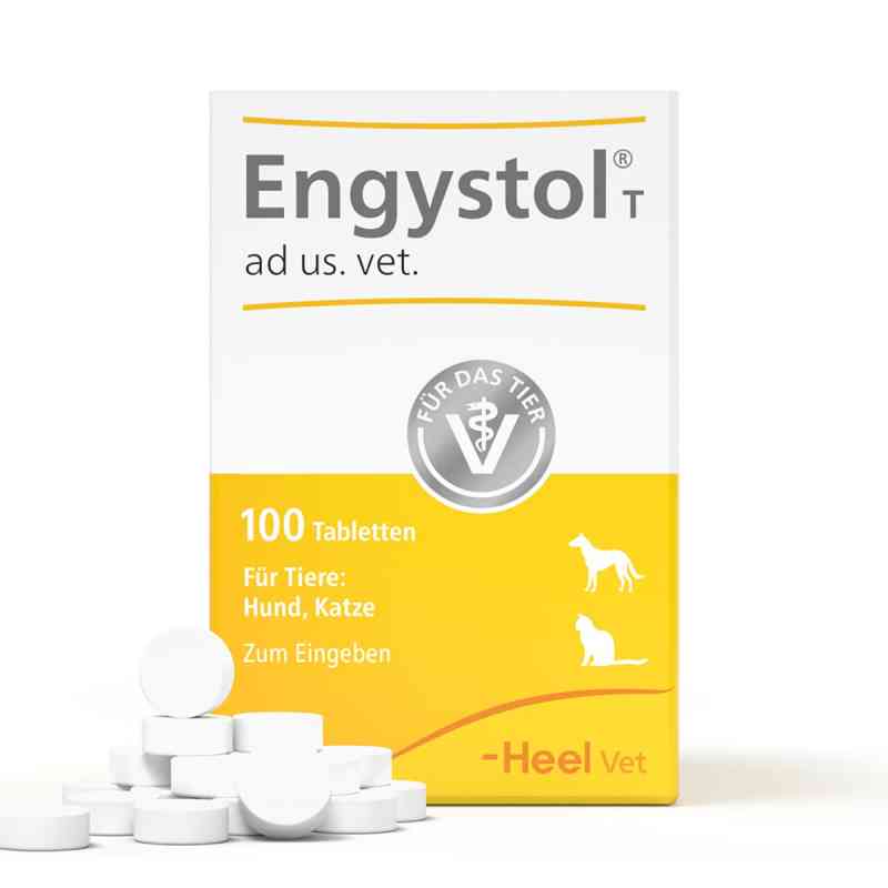 Engystol T ad us.vet.Tabletten 100 stk von Biologische Heilmittel Heel GmbH PZN 17202050