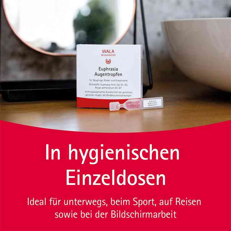 EUPHRASIA D 3 Einzeldosen-Augentropfen (10x0,4 Ml