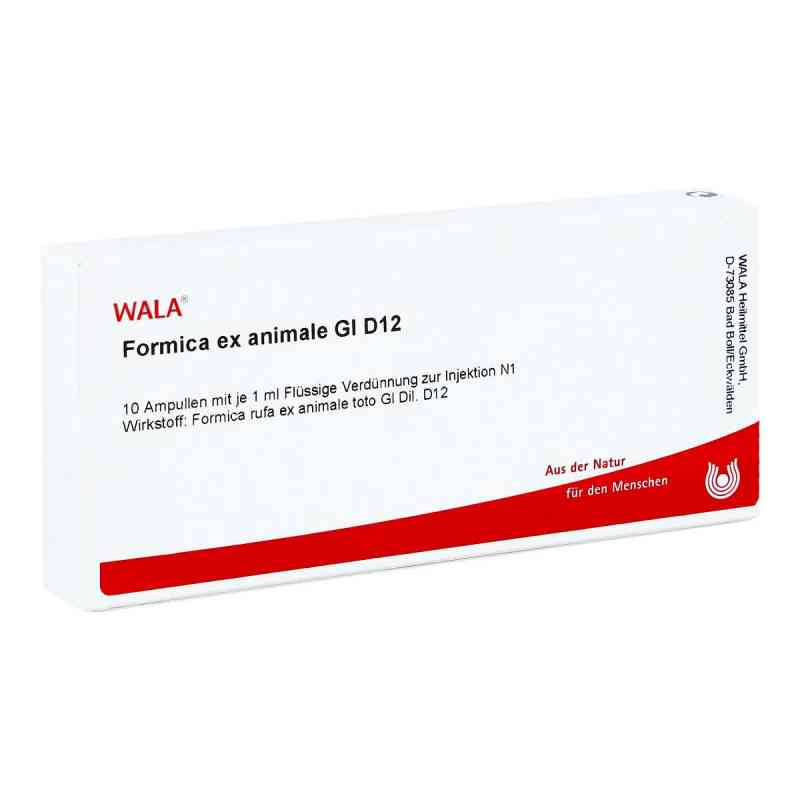 Formica Ex animale Gl D12  Ampullen 10X1 ml von WALA Heilmittel GmbH PZN 03357636