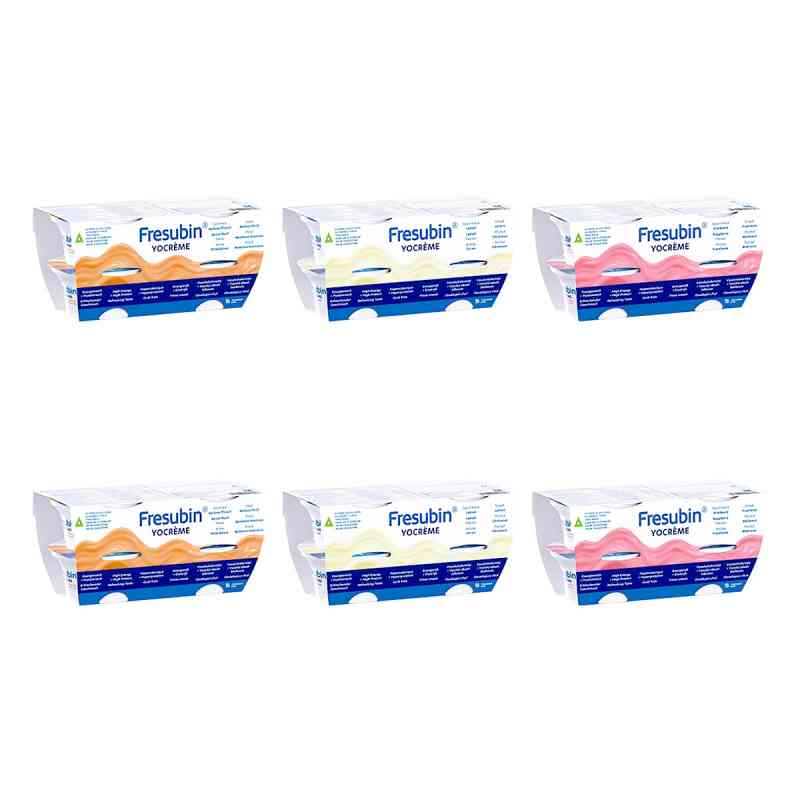 Fresubin Yocreme Mischkarton 24X125 g von Fresenius Kabi Deutschland GmbH PZN 09510197