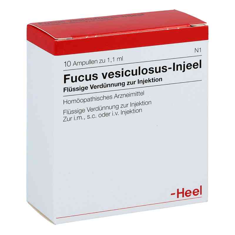 Fucus Vesiculosus Injeel Ampullen 10 stk von Biologische Heilmittel Heel GmbH PZN 00400805