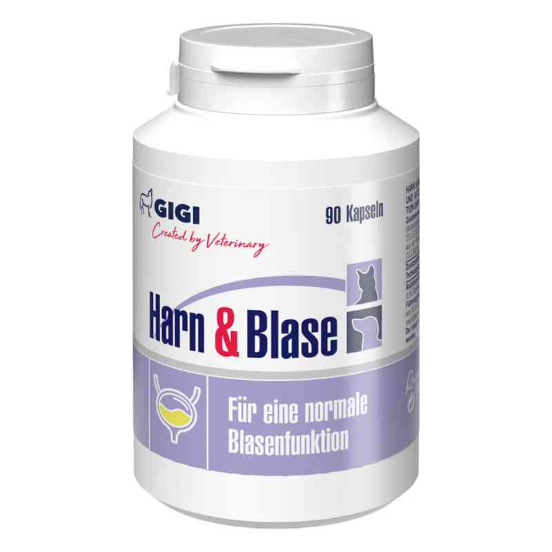 GIGI VET Harn & Blase N90 90 stk von Farma PET GIGI (SIA) LLC PZN 19459445