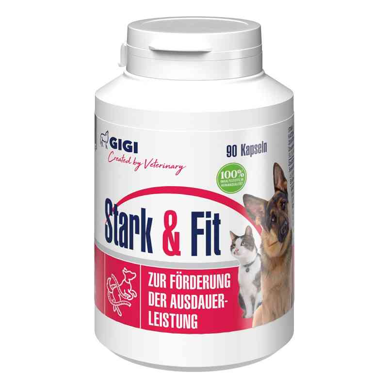 GIGI VET Stark & Fit für Hunde und Katzen N90 90 stk von Farma PET GIGI (SIA) LLC PZN 19459385
