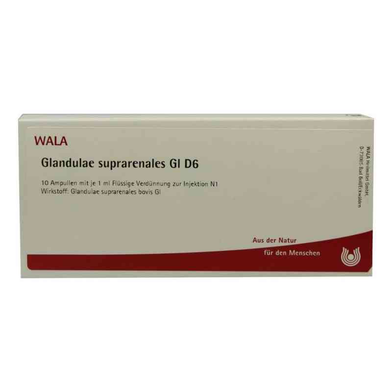 Glandulae Supraren. Gl D6 Ampullen 10X1 ml von WALA Heilmittel GmbH PZN 02829582