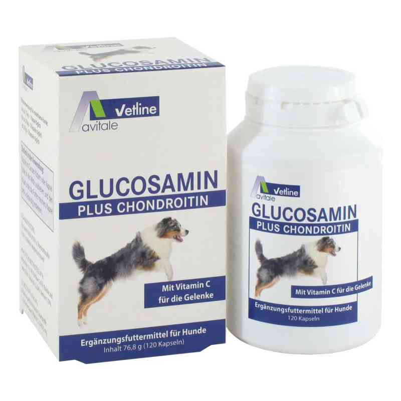 Glucosamin + Chondroitin Kapseln für Hunde 120 stk von Avitale GmbH PZN 03025791