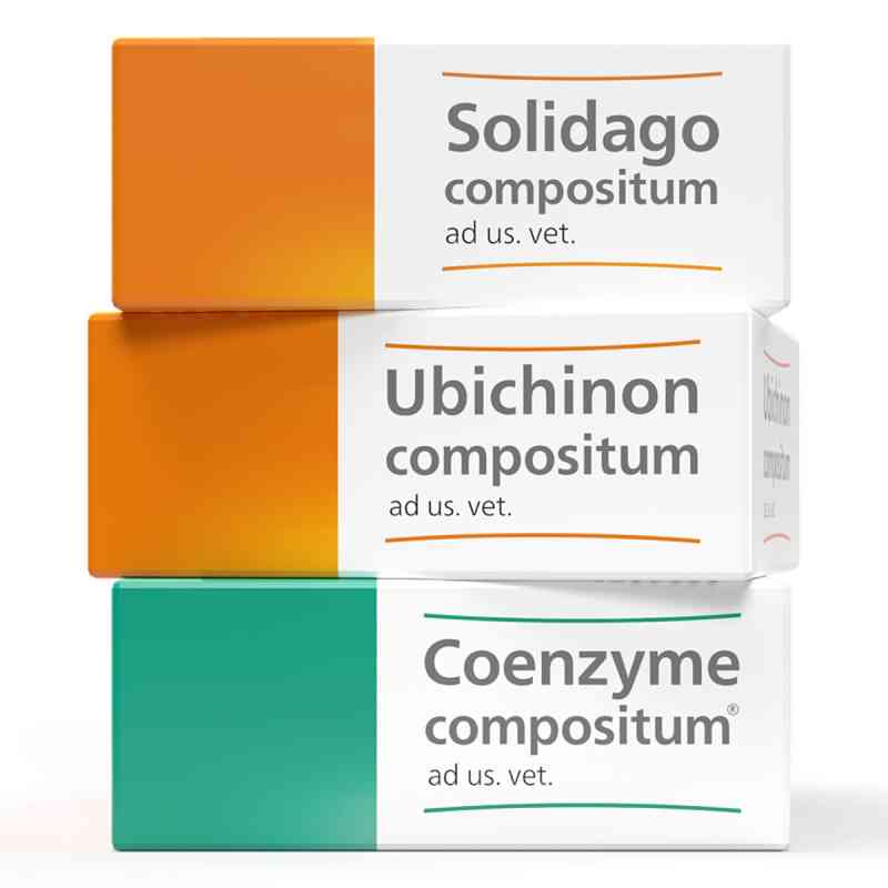 Heel Vet SUC Bundle 3 Pck von Biologische Heilmittel Heel GmbH PZN 08101827