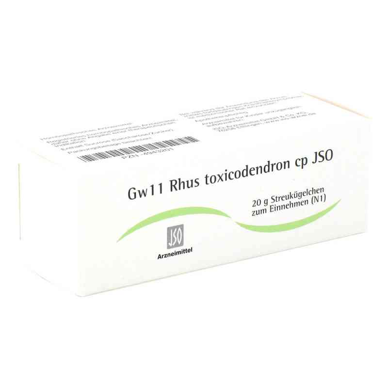 Jso Gw 11 Rhus Toxicodendron Cp Globuli 20 g von ISO-Arzneimittel GmbH & Co. KG PZN 04943201