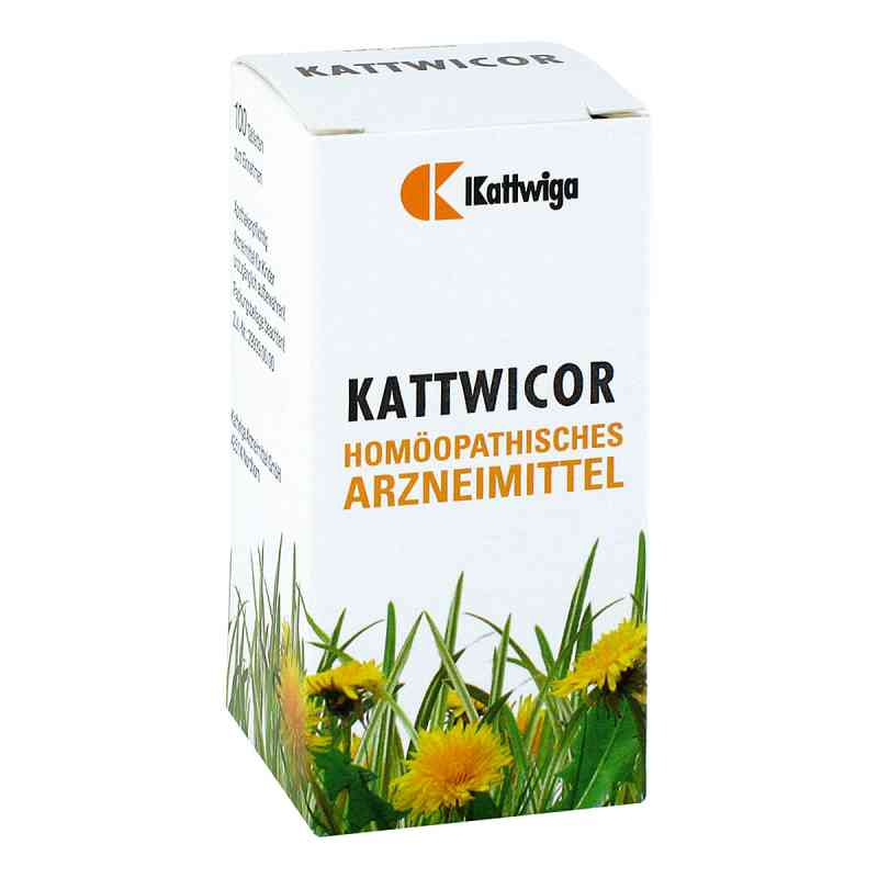 Kattwicor Tabletten 100 stk von Kattwiga Arzneimittel GmbH PZN 01987362
