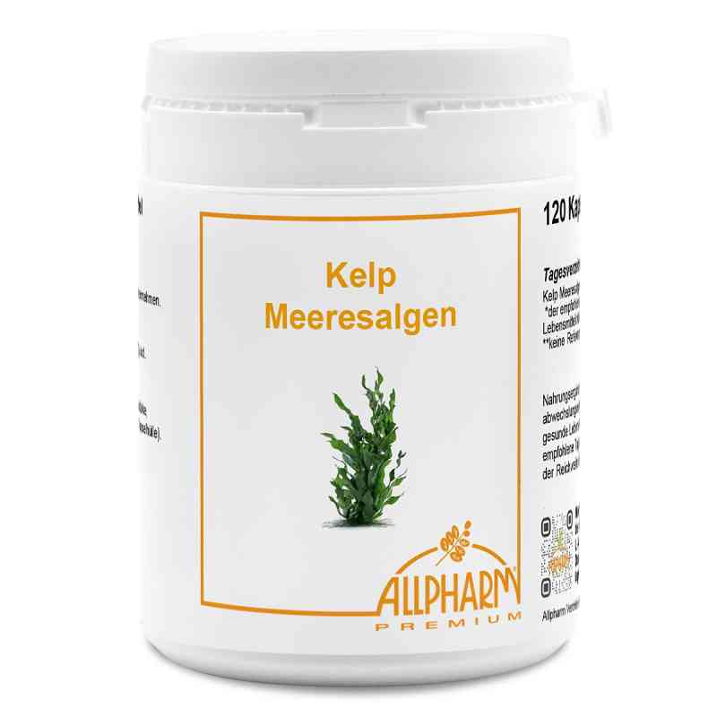Kelp Meeresalgen Allpharm Premium Kapseln 120 stk von ALLPHARM Vertriebs GmbH PZN 19658682