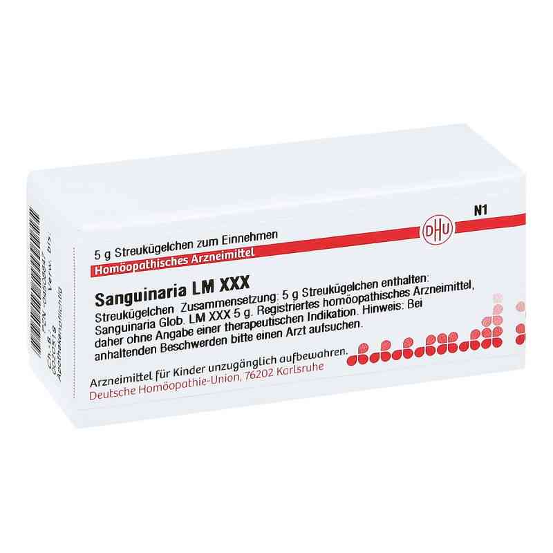 Lm Sanguinaria Xxx Globuli 5 g von DHU-Arzneimittel GmbH & Co. KG PZN 04508847