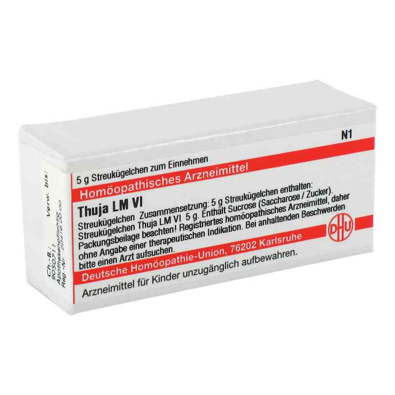 Lm Thuja Vi Globuli 5 g von DHU-Arzneimittel GmbH & Co. KG PZN 02660189