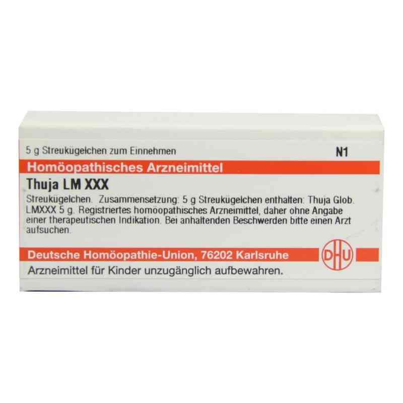Lm Thuja Xxx Globuli 5 g von DHU-Arzneimittel GmbH & Co. KG PZN 02679102