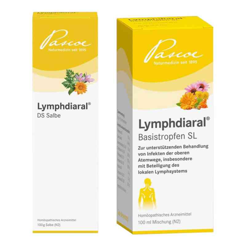 Lymphdiaral Ds Salbe + Basistropfen Sl 1 Set von Pascoe pharmazeutische Präparate GmbH PZN 08105635