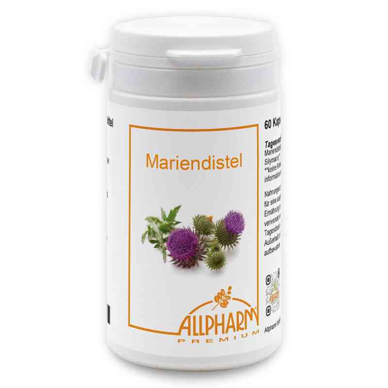 Mariendistel Leberschutz 60 stk von ALLPHARM Vertriebs GmbH PZN 04752145