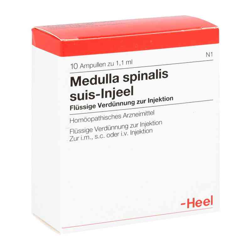 Medulla Spinalis suis Injeel Ampullen 10 stk von Biologische Heilmittel Heel GmbH PZN 00664326