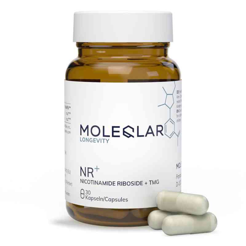Moleqlar Longevity NR PRO Nicotinamid Kapseln 30 stk von MoleQlar GmbH PZN 19488754