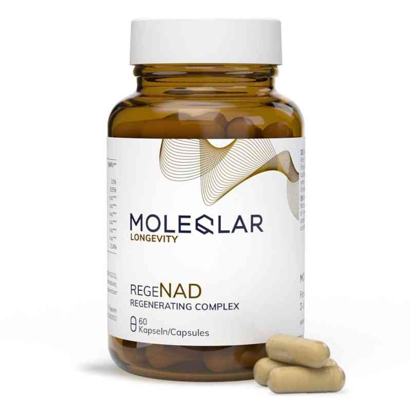 Moleqlar Longevity Regenad Kapseln 60 stk von MoleQlar GmbH PZN 19488748