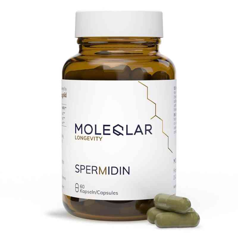 Moleqlar Spermidin Kapseln 60 stk von MoleQlar GmbH PZN 19790832